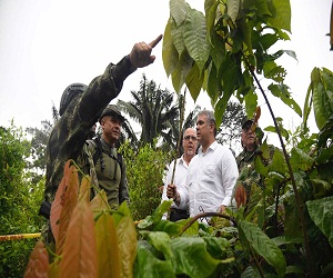 ilegales en el suroeste del país, el Presidente Iván Duque resaltó que gracias al trabajo de la Fuerza Pública, se logró, por primera vez en siete años, parar el crecimiento exponencial de los cultivos ilícitos.