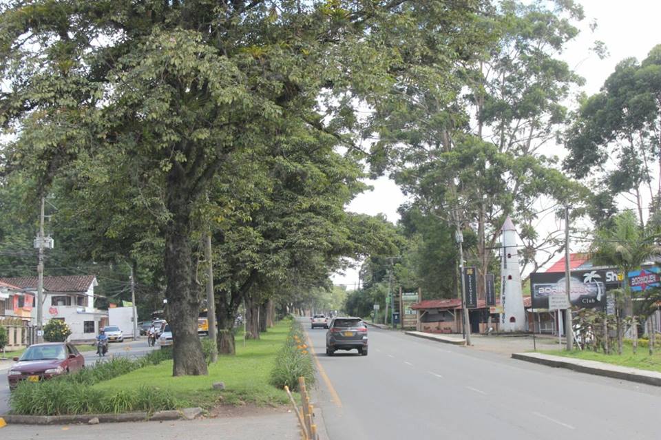 Jornada de mantenimiento, limpieza y tala sobre la vía Panamericana