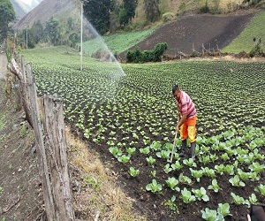 ADR celebra vía libre a la Ley de Innovación Agropecuaria