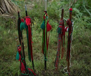 Esa es la diferencia Nos falta historia patria por eso le choca al Estado Colombiano y se vuelve permisivo con las Bandas criminales, que tiene su escondite en sus tierras sagradas.