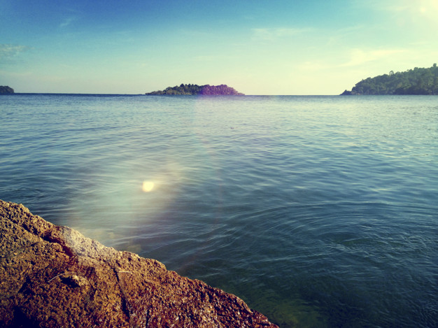 Ocean Sea Nature Forest View Concept