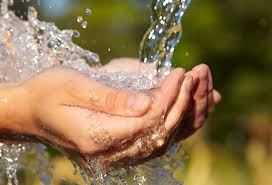 El Covid 19 se encargo de depurar la raza y aún estamos esperando que llegue la vacuna milagrosa para detener la orgía de muerte que estamos padeciendo