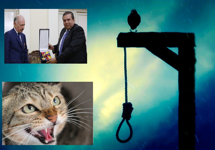 CORRILLOS DEL PARQUE CALDAS HALLAN LAS INSTRUCIIONES QUE DIO EL REYEZUELO TEMISTOCLES ORTEGA Y SUS MOSQUETEROS PARA LA SALIDA DE LA PUPILA DE SIR Cesar Cristian Gómez Castro