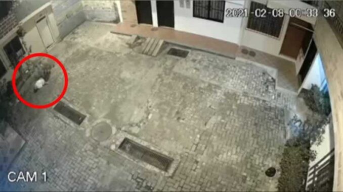 Desesperada Mujer se ve obligada a Lanzarse de un Balcón, para así evitar que su Pareja Sentimental la Agrediera