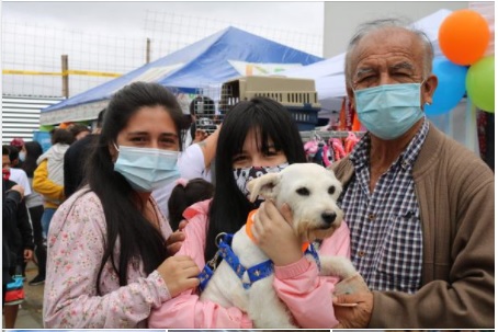 16 gatitos y 10 perritos adoptados, tendrán una nueva oportunidad de vida