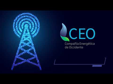 CEO recuerda sus canales de pago autorizados para evitar estafas y suplantaciones