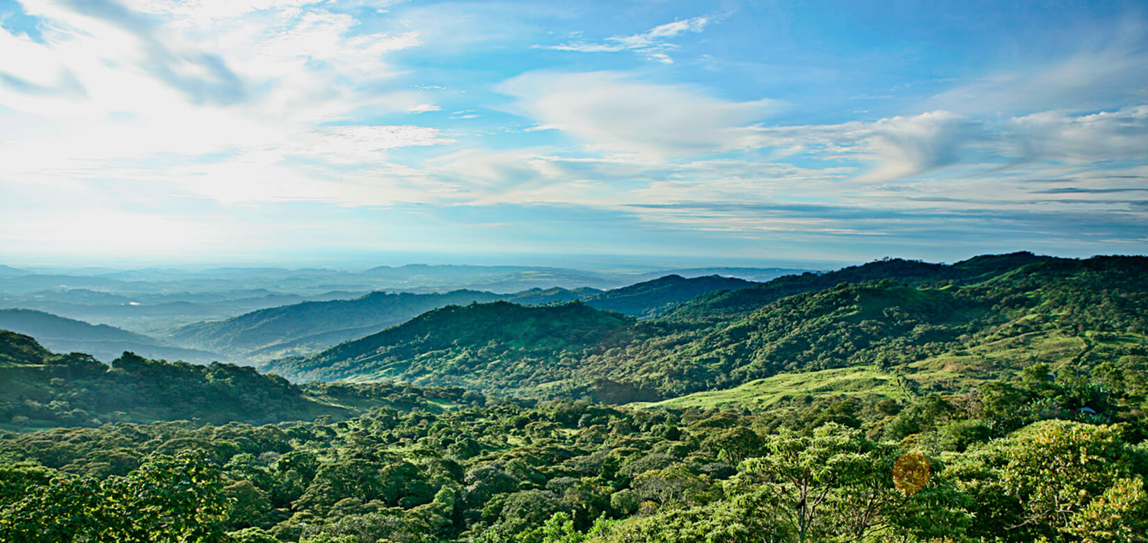 Que Tristeza la Doble Moral de algunos Líderes que Continúan Robando la Comarca con sus Compinches Gatunos