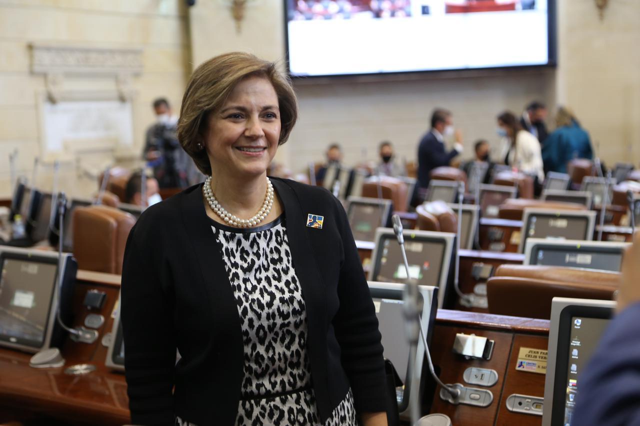 Propuesta legislativa de la senadora María del Rosario Guerra