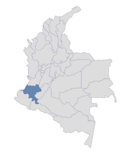 Muchos Concejales del Cauca cobraron miles pesos por cantar Himno Nacional