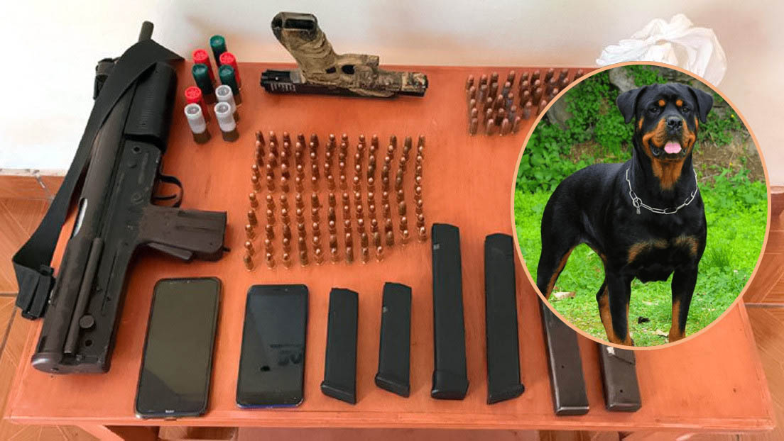 alias El Negro, un presunto jefe de la disidencia del frente 33 las Farc , Ni su perro campanero lo libró de morir