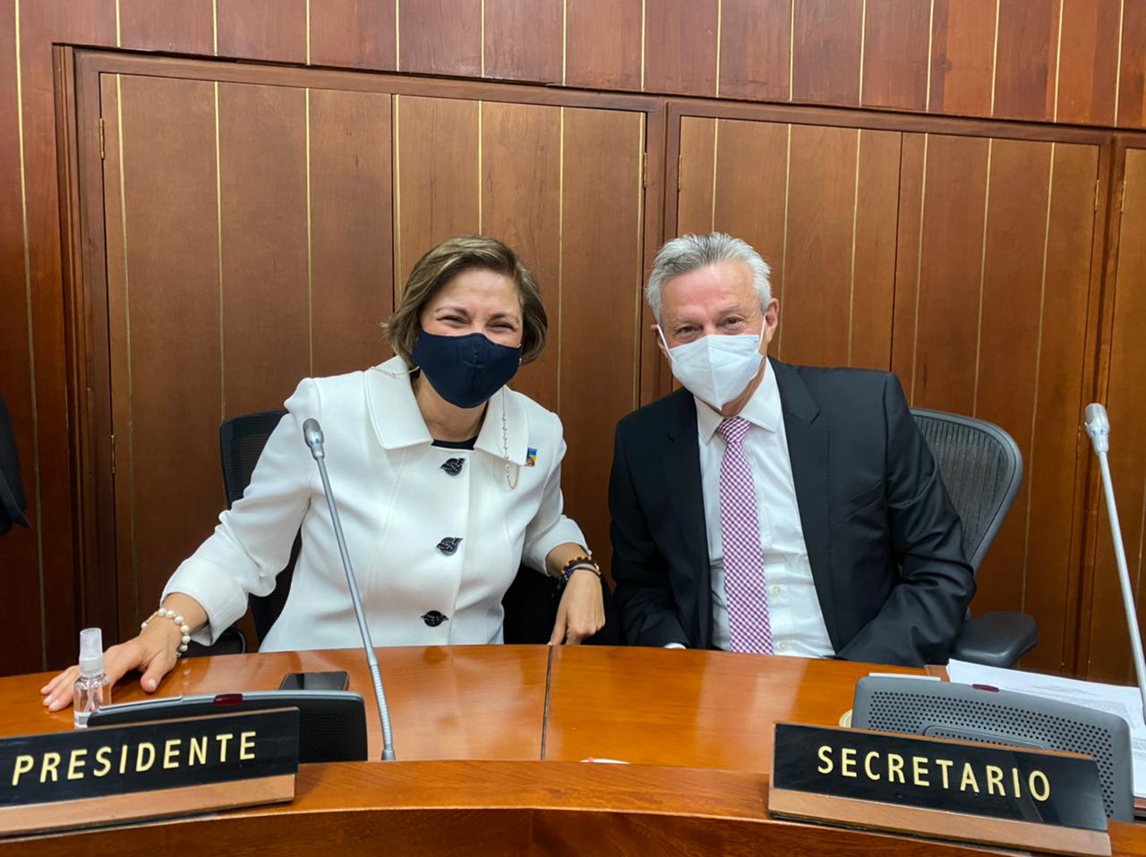 Senadora María del Rosario Guerra, elegida presidenta de la Comisión Tercera del Senado de la República