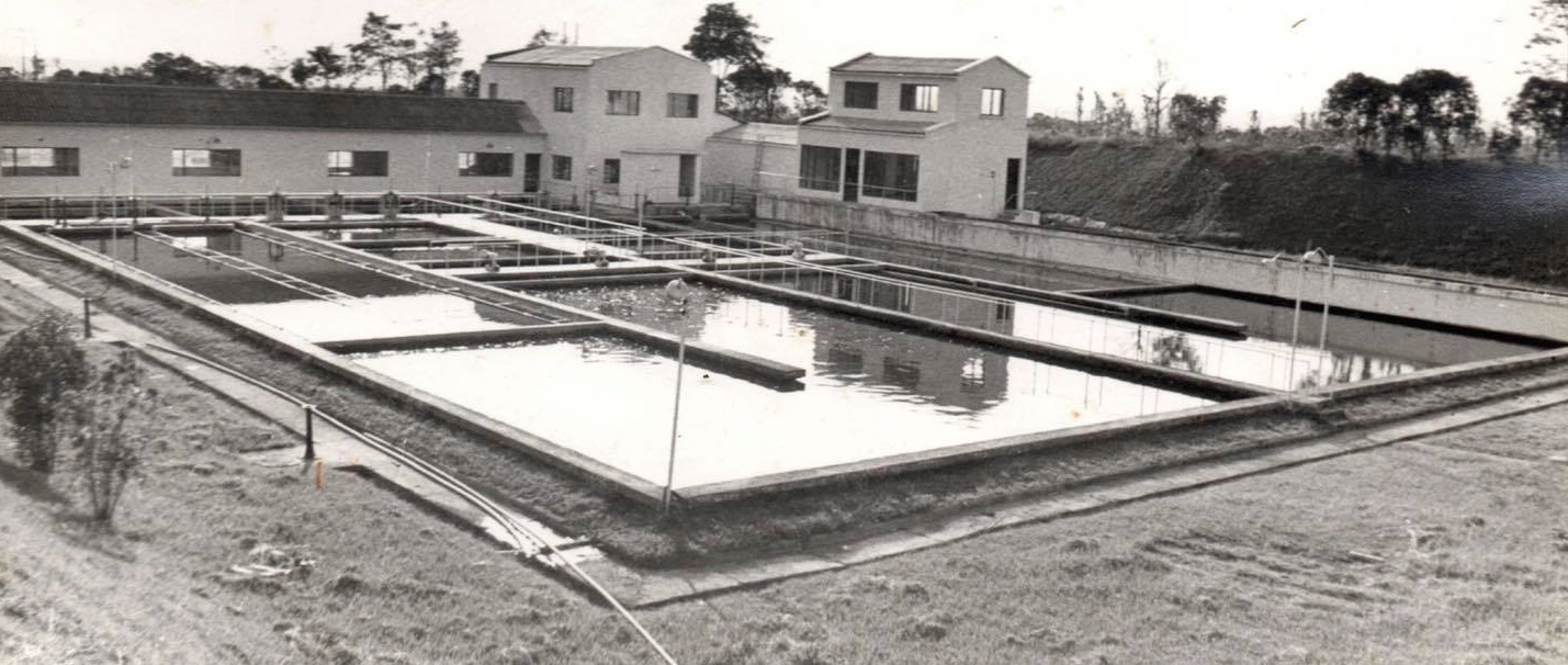 Cumple 65 años Acueducto de Popayán como una empresa moderna y sostenible