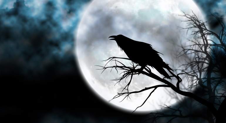 CRIA CUERVOS…. Y TE SACARAN LOS OJOS. LO VIVE EL GORDIFLAQUISMO