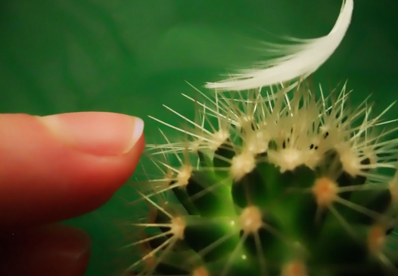 Sea como fuere, la Desvergüenza nos está dejando sin Sensibilidad alguna Continuando que ganen los Corruptos cada Elección