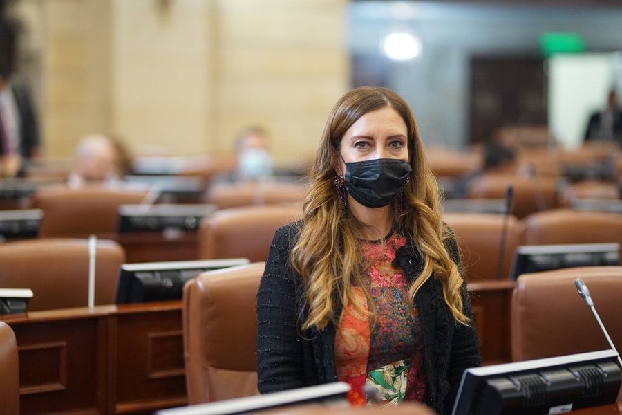 En las localidades bogotanas de Antonio Nariño, La Candelaria, Engativá y Suba se habría incrementado el delito sexual como variable de inseguridad, denunció la congresista Ángela Sánchez