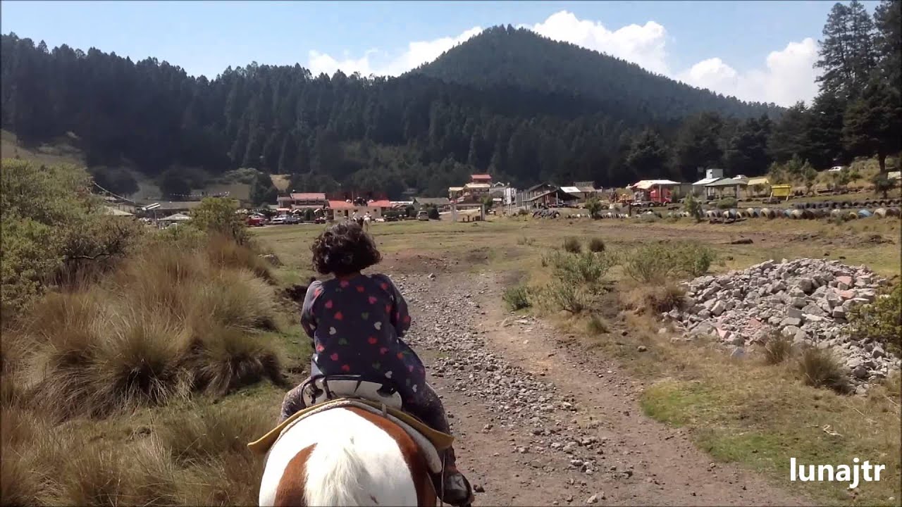 NO PODEMOS NEGAR QUE SIMPLEMENTE SON VAQUERITOS DE POTRERO