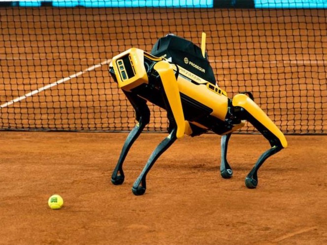 Vigilará Perro robot  torneo de tenis de Madrid