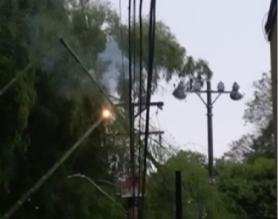 Fuertes lluvias ocasionaron la caída de árboles sobre la infraestructura eléctrica en el norte de Popayán