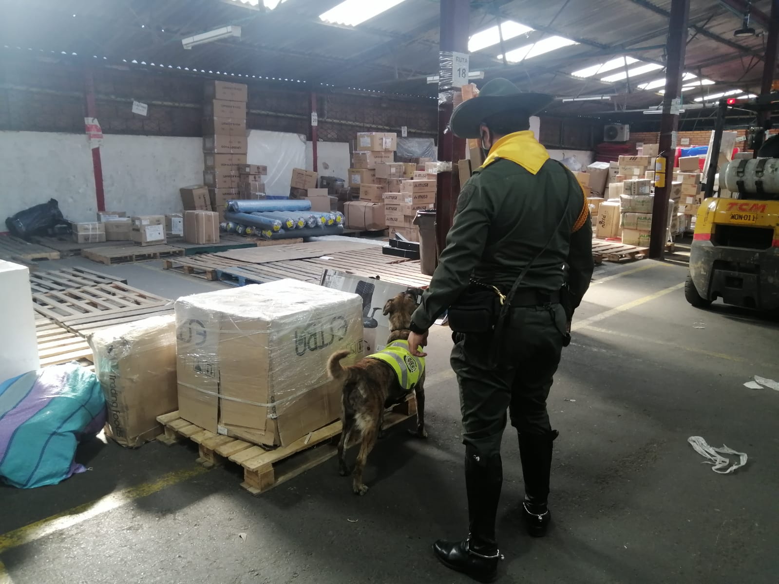 En medio de una operación contra el tráfico de drogas ilícitas en Cúcuta murió ‘Lucrecia’, una perrita experta en la detección de estupefacientes