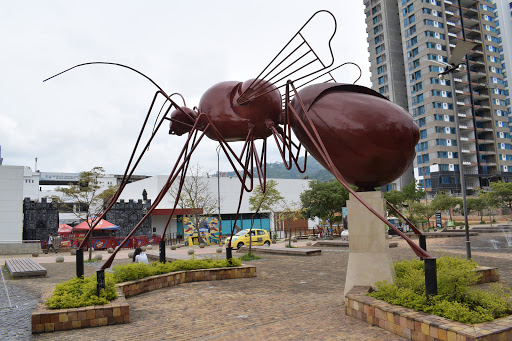Bucaramanga tiene la Visita de los mejores cirujanos especializados en operaciones de trasplante de órganos del Mundo