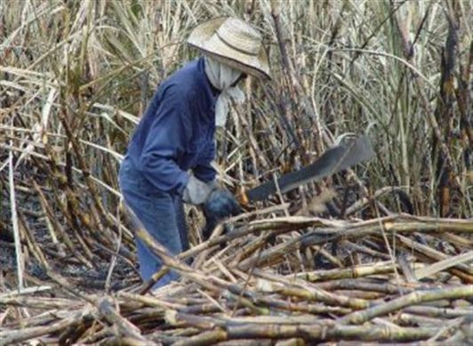El derecho a la propiedad privada es difuso cuando se trata de los departamento donde los indígenas se toman a la fuerza las tierras afrodescendiente que son productivas