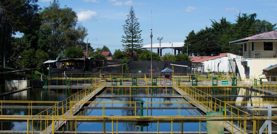 La empresa Acueducto y Alcantarillado de Popayán S.A E.S.P. se permite informar