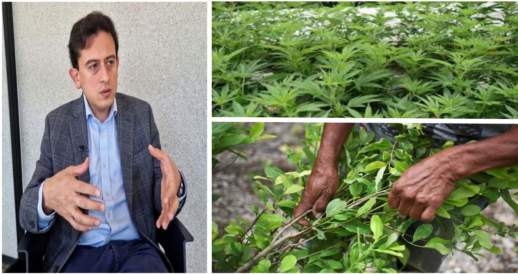 La cocaína legal sería menos peligrosa, ya que los productores legítimos no la adulterarían y gravaría impuestos resalta director de la Dian