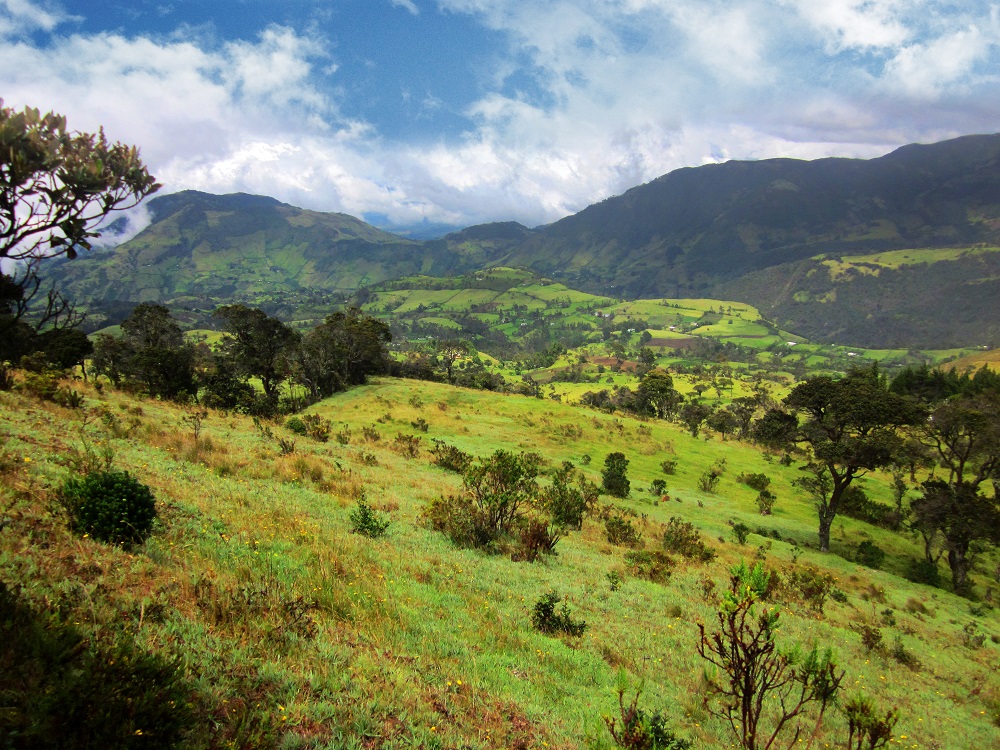 TODOS CRITICAN, PERO POCOS BUSCAN SOLUCIONES PARA EL CAUCA