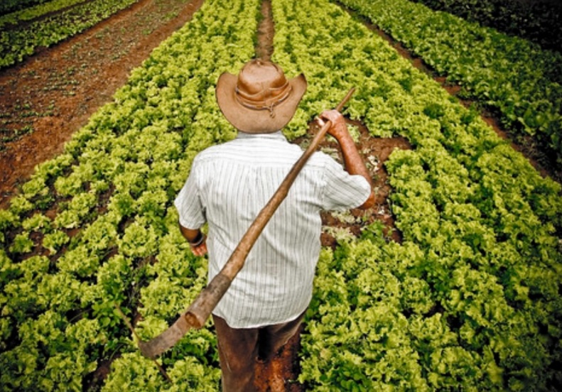 Se Realiza CampeSENA la cual certificará la experiencia de 20.000 campesinos