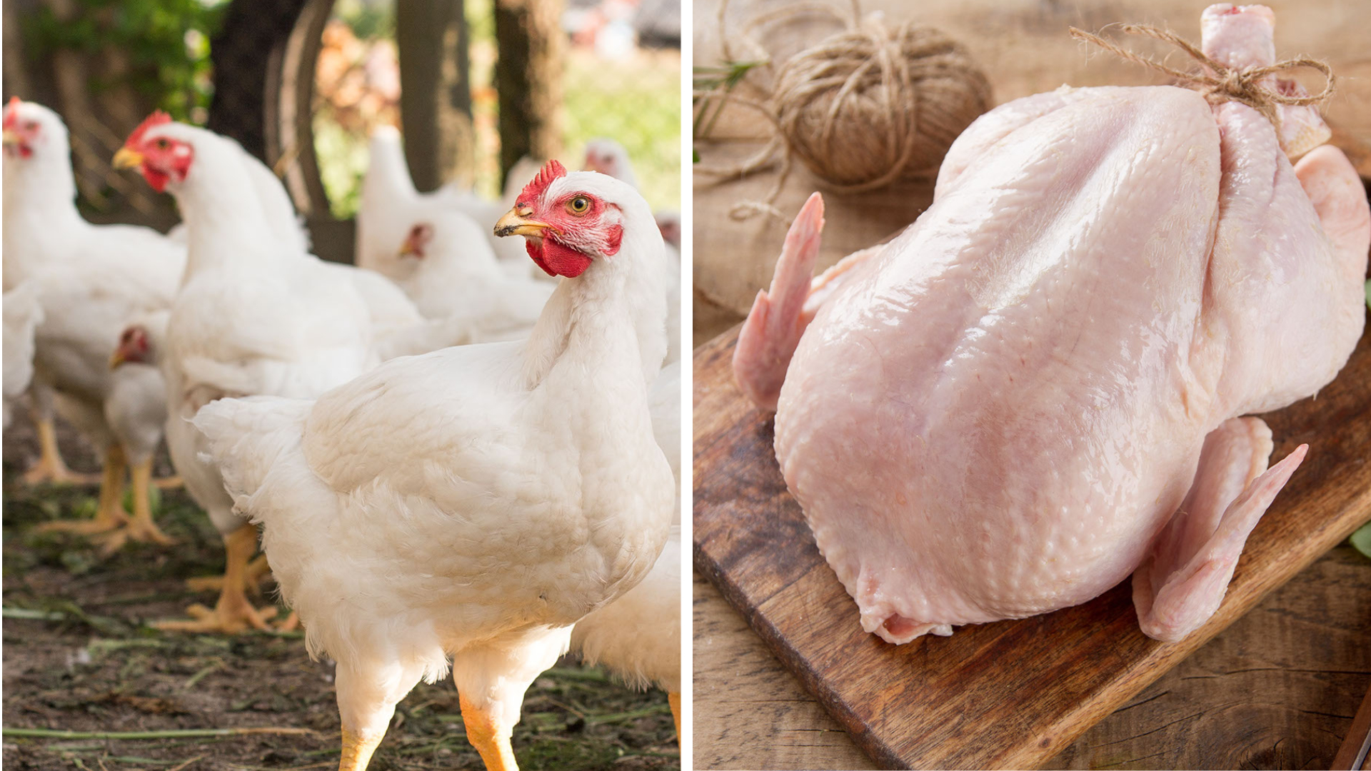 ¿Que debes hacer y como debes actuar con un jefe que tiene preferencias y comete Injusticias contigo ?