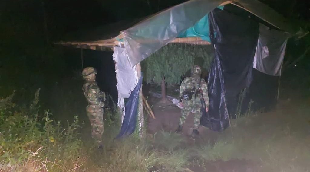 Incautada cerca de una tonelada de marihuana en operación de las Fuerzas Militares