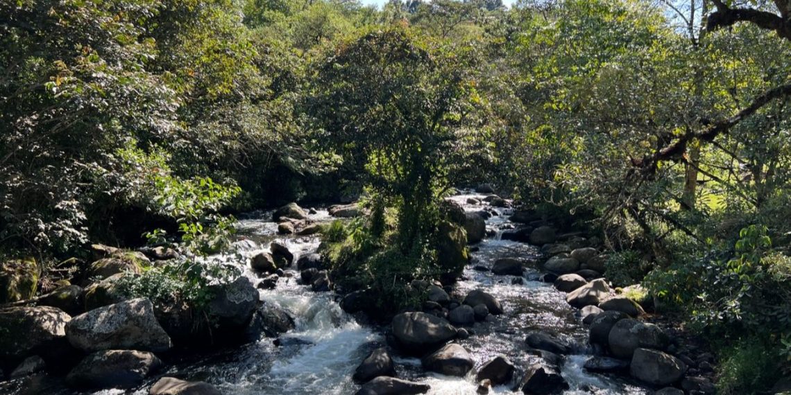 Con 3 fuentes hídricas se abastece el Acueducto y Alcantarillado de Popayán.