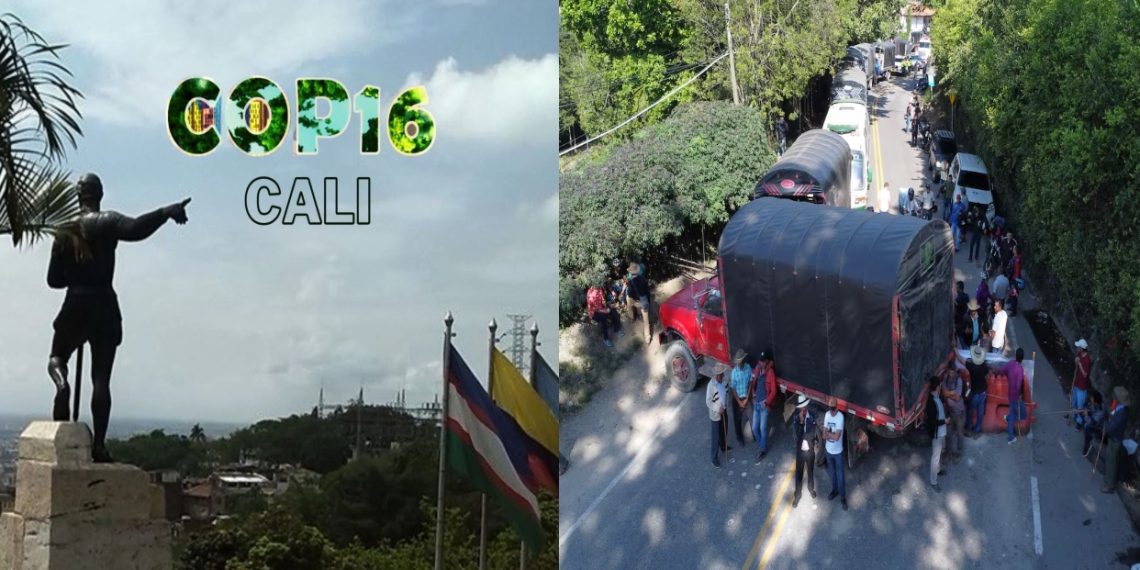 Mientras en Cali estaban de Celebración, las Principales Carreteras Nacionales Permanecían Bloqueadas y los Violentos siguen haciendo de la Suya