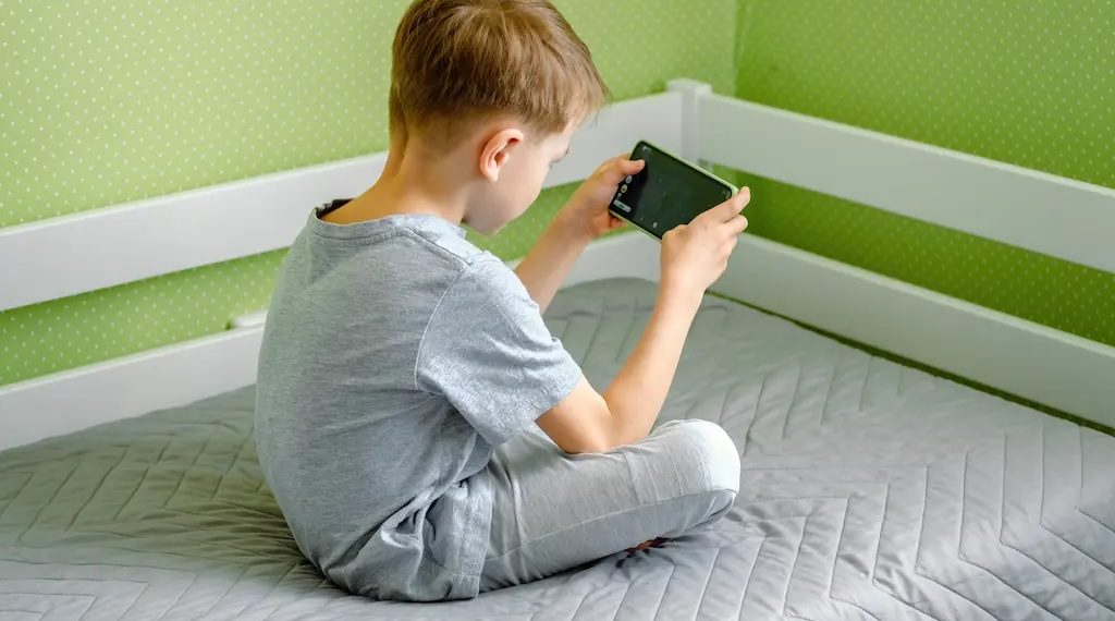 Proyecto de Ley para la regulación del acceso y uso de redes sociales por niños y niñas será prioridad en la próxima legislatura