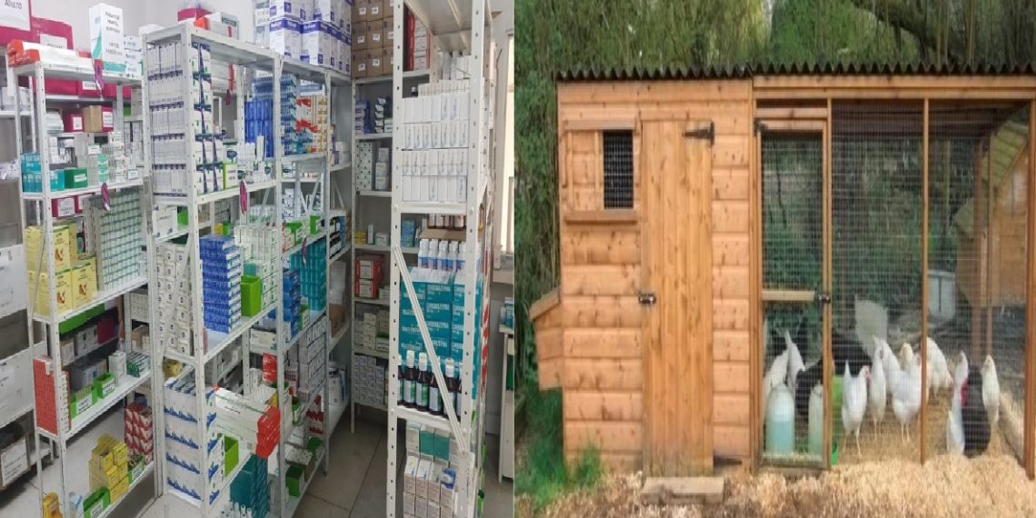 ¿Quién manda en Popayán?