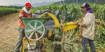 Anunció Banco Agrario Disponibilidad de Recursos para Líneas Especiales de Crédito