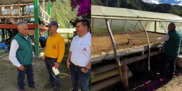 ¡El café ya es la bebida nacional de Colombia!