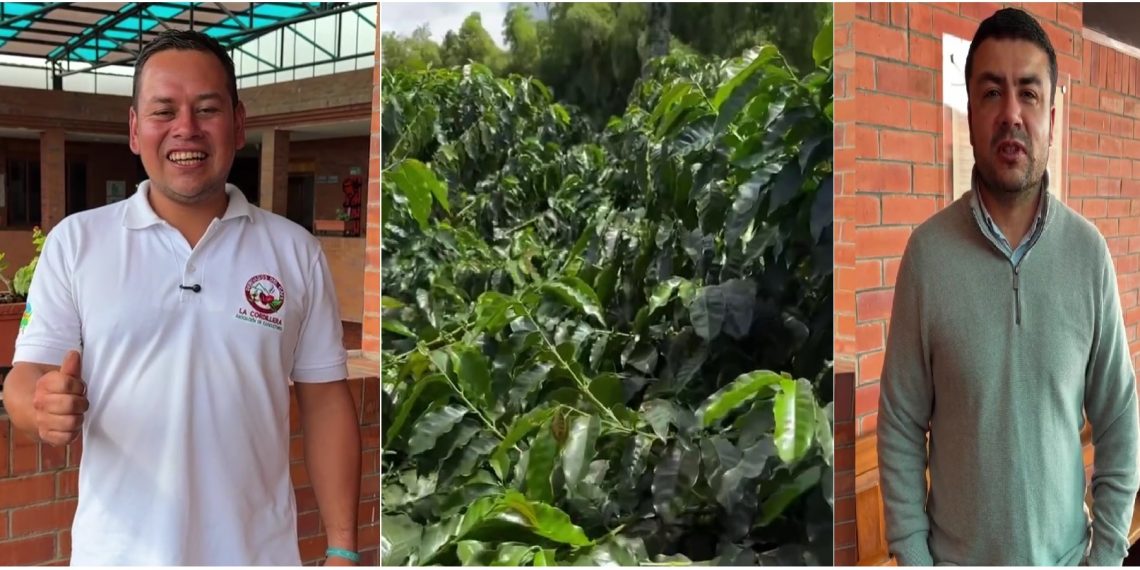 Consejo Regional de Seguridad en el Norte del Cauca: decisiones por la vida y la tranquilidad