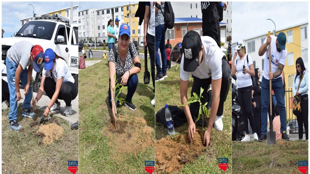 EMTEL reafirma su compromiso con el medio ambiente y la comunidad en jornada de Caminata Ecológica “Sembrando Vida”