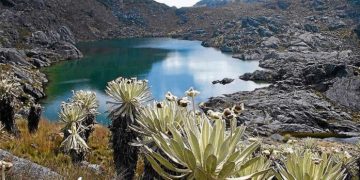 Llora y resiste el Macizo