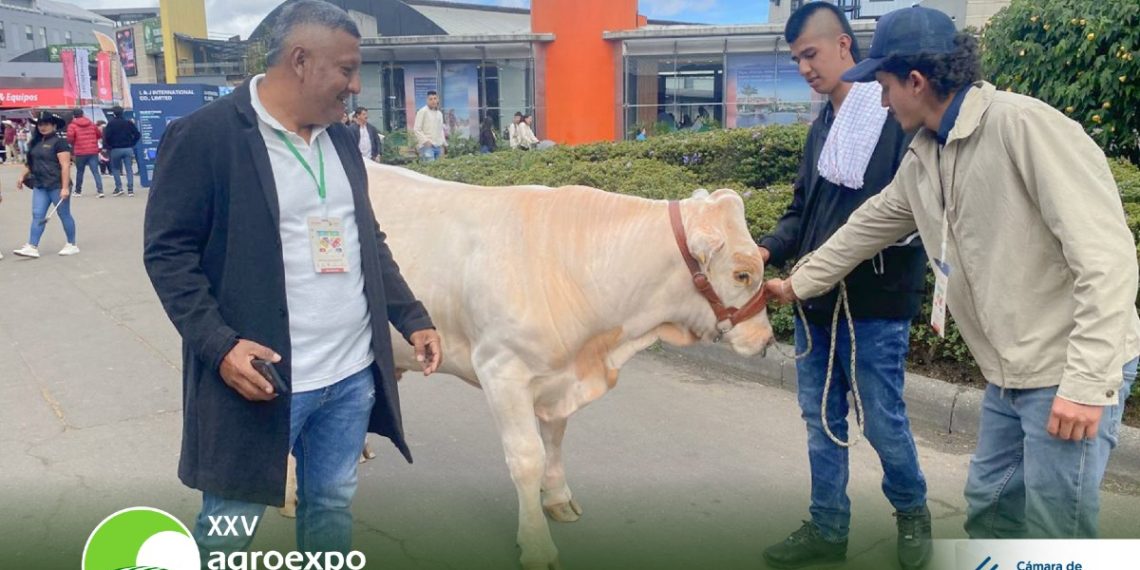 Empresarios caucanos fortalecen su visión comercial en  Agroexpo 2025