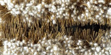 Más que hilos: la seda como motor de desarrollo global