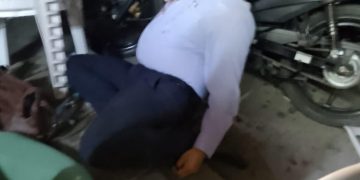 La Violencia que Nos Arrebata la Paz