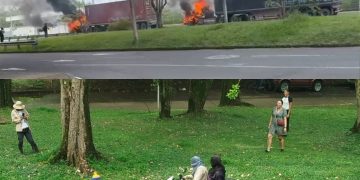 Caos en el sur de Cali: Cuando la protesta cruza la línea del vandalismo