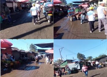 La Galería del Barrio Bolívar: Un Espejo de Nuestro Abandono