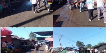 La Galería del Barrio Bolívar: Un Espejo de Nuestro Abandono