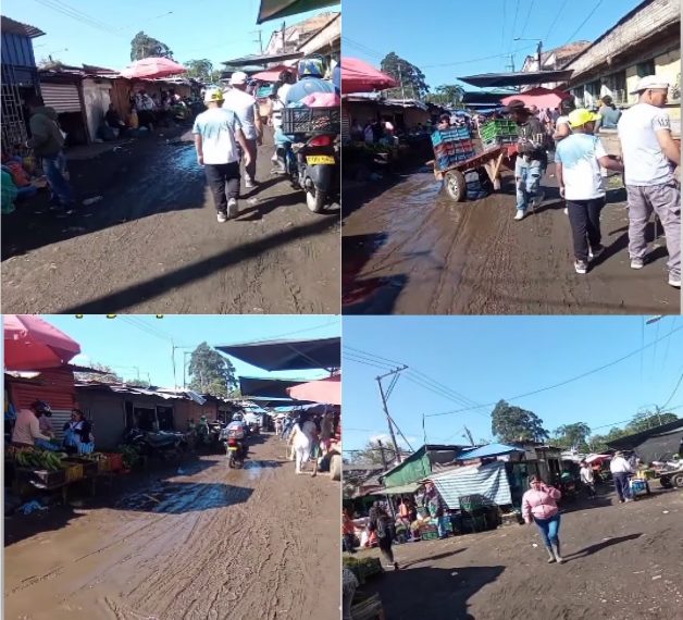 La Galería del Barrio Bolívar: Un Espejo de Nuestro Abandono