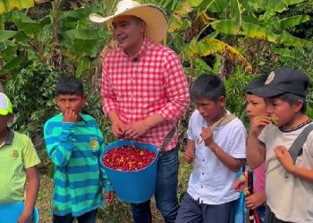 La Semilla de la Educación en Cada Grano de Café del Cauca