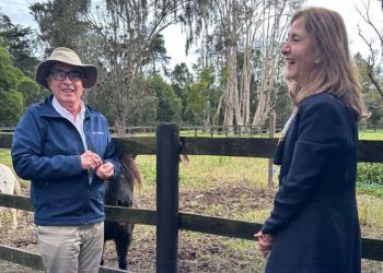 Betancourt Enciende la Mecha: ¿Es Uribe el Único Escudo de la Democracia?