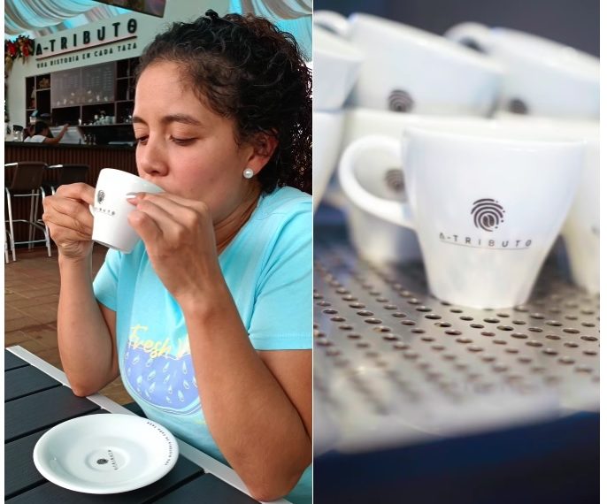Un Voto por el Sabor Único: La Nominación de Atributo Impulsa la Caficultura Caucana